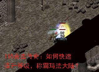 185ϻ棺οȼư귨½