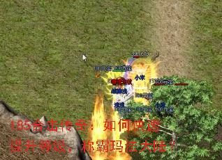 185ϻ棺οȼư귨½