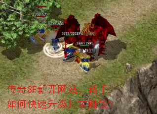 SF¿վο׬Ǯ