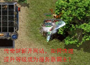 SF¿վοȼΪ