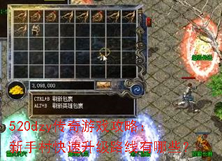 520dzyϷԣִ·Щ
