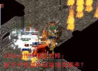 520dzyϷԣִ·Щ