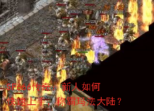 SF666棺ο֣ư귨½