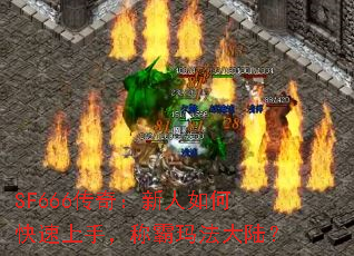 SF666棺ο֣ư귨½