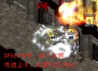 SF666棺ο֣ư귨½