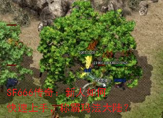 SF666棺ο֣ư귨½