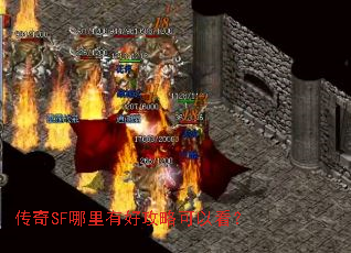 SFкùԿԿ
