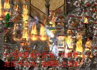1.76Ӣۺϼƴ棺οսư귨½
