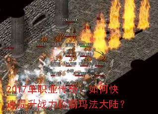 2017ְҵ棺οսư귨½