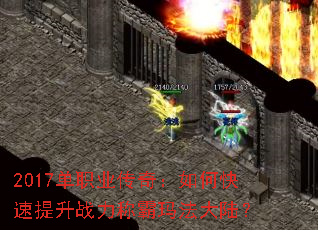 2017ְҵ棺οսư귨½