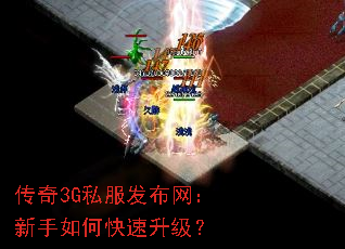3G˽ο