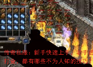 ˽ֽֿ֣״𣬶ЩΪ֪ļɣ