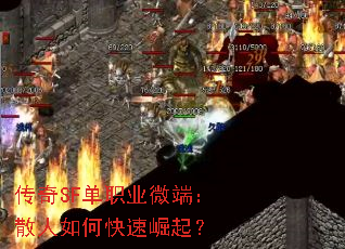 SFְҵ΢ˣɢο