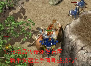 1.76ƷSFֿЩɣ