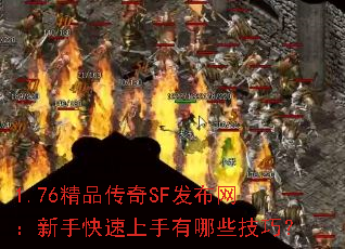 1.76ƷSFֿЩɣ