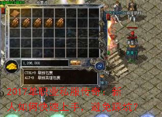 2017ְҵ˽棺ο֣ȿӣ