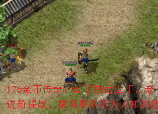 176Ҵ棺ֽֿ֣սЩΪ֪ļɣ