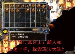 ֮1.80ϻο֣ư귨½