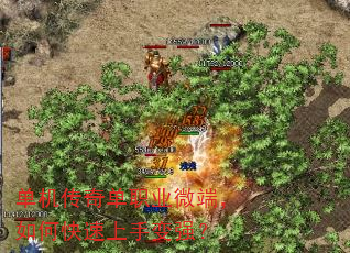 浥ְҵ΢ˣοֱǿ