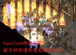 haosfcom˽ִЩɣ