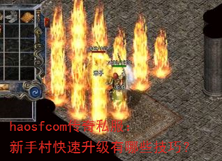 haosfcom˽ִЩɣ