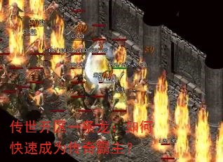 һοٳΪ