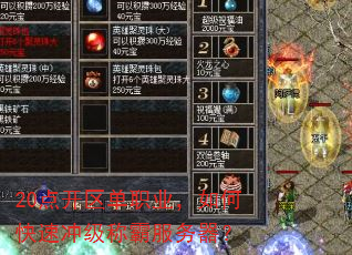 20㿪ְҵοٳ弶ưԷ
