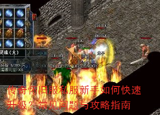 滳ɷ˽ο빥ָ