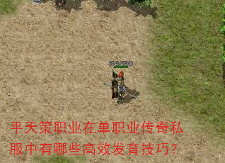 平天策职业在单职业传奇私服中有哪些高效发育技巧? 平天策职业在单职业传奇私服中有哪些高效发育技巧?