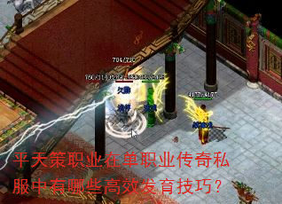 平天策职业在单职业传奇私服中有哪些高效发育技巧? 平天策职业在单职业传奇私服中有哪些高效发育技巧?