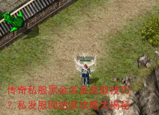 传奇私服黑金装备获取技巧?私发服网独家攻略大揭秘 传奇私服黑金装备获取技巧?私发服网独家攻略大揭秘