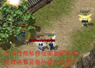 冬瓜传奇私服玩家如何快速获取稀有装备与提升战力? 冬瓜传奇私服玩家如何快速获取稀有装备与提升战力?