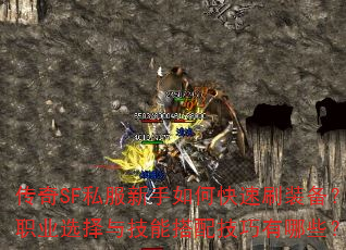 SF˽οˢװְҵѡ뼼ܴ似Щ