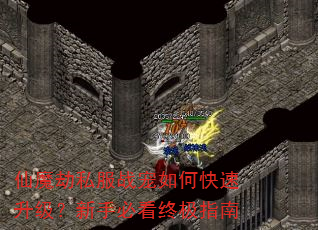 仙魔劫私服战宠如何快速升级?新手必看终极指南 仙魔劫私服战宠如何快速升级?新手必看终极指南