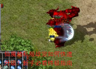 仙魔劫私服战宠如何快速升级?新手必看终极指南 仙魔劫私服战宠如何快速升级?新手必看终极指南