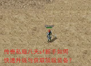 传奇私服八天sf新手如何快速升级与获取顶级装备? 传奇私服八天sf新手如何快速升级与获取顶级装备?