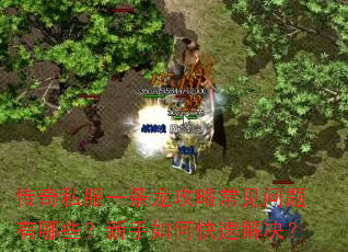传奇私服一条龙攻略常见问题有哪些?新手如何快速解决? 传奇私服一条龙攻略常见问题有哪些?新手如何快速解决?