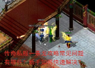 传奇私服一条龙攻略常见问题有哪些?新手如何快速解决? 传奇私服一条龙攻略常见问题有哪些?新手如何快速解决?