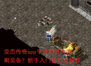 变态传奇app平台如何快速刷装备?新手入门技巧全解答 变态传奇app平台如何快速刷装备?新手入门技巧全解答