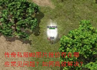 传奇私服M8图片报价存在哪些常见问题?如何高效解决? 传奇私服M8图片报价存在哪些常见问题?如何高效解决?