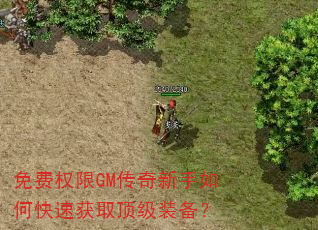 免费权限GM传奇新手如何快速获取顶级装备? 免费权限GM传奇新手如何快速获取顶级装备?