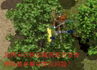 如何自己购买服务器开设传奇私服并解决常见问题? 如何自己购买服务器开设传奇私服并解决常见问题?