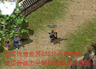 变态传奇世界65535中如何快速提升战力并解锁隐藏终极技能? 变态传奇世界65535中如何快速提升战力并解锁隐藏终极技能?