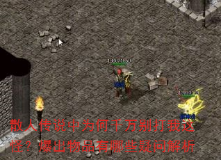 散人传说中为何千万别打我这怪?爆出物品有哪些疑问解析 散人传说中为何千万别打我这怪?爆出物品有哪些疑问解析