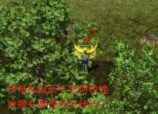 传奇私服新手如何快速找服并掌握升级技巧? 传奇私服新手如何快速找服并掌握升级技巧?