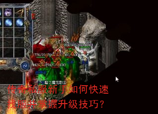 传奇私服新手如何快速找服并掌握升级技巧? 传奇私服新手如何快速找服并掌握升级技巧?