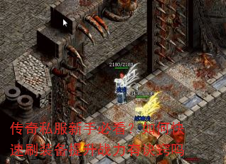 传奇私服新手必看?如何快速刷装备提升战力有诀窍吗 传奇私服新手必看?如何快速刷装备提升战力有诀窍吗