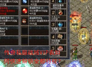 传奇私服战域VIP表如何快速解锁全部特权? 传奇私服战域VIP表如何快速解锁全部特权?