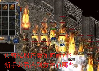 传奇私服正版如何辨别?新手必看鉴别方法有哪些 传奇私服正版如何辨别?新手必看鉴别方法有哪些