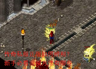 传奇私服正版如何辨别?新手必看鉴别方法有哪些 传奇私服正版如何辨别?新手必看鉴别方法有哪些